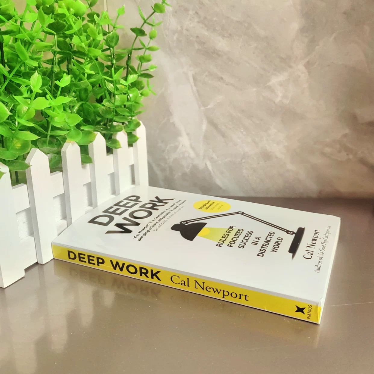 Deep Work oleh Cal Newport |   - Renewable Energy Resources ulasan dan harga